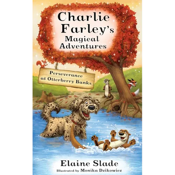 Perseverance at Otterberry Banks - Paperback