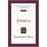 Joshua: Tyndale Old Testament Commentary - Paperback