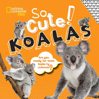 So Cute!: Koalas - Hardcover