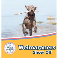 Weimaraners Show Off - Hardcover