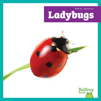 Ladybugs - Library Binding