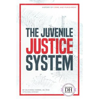 Juvenile Justice System - Library Binding