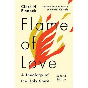 Flame of Love: Three Views on the Destiny of the Unevangelized - Paperback