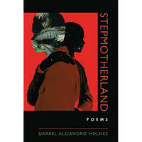 Stepmotherland - Paperback