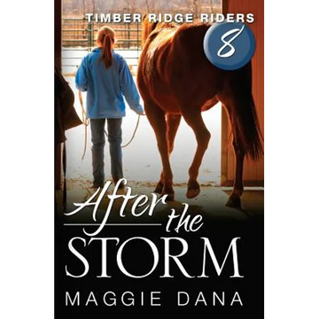 After the Storm - Paperback