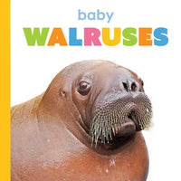 Baby Walruses - Paperback