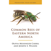 Common Bees of Eastern North America - Paperback