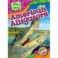 American Alligators - Library Binding