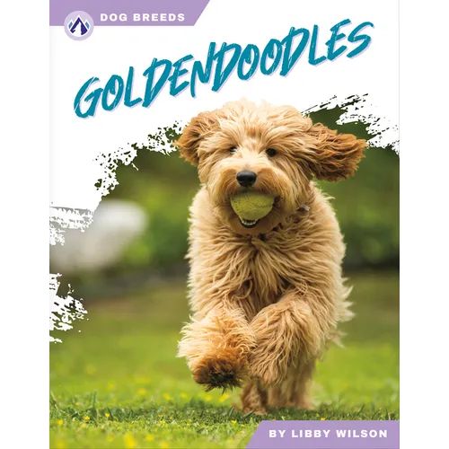 Goldendoodles