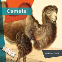 Camels - Library Binding