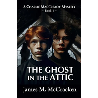 The Ghost in the Attic - Paperback