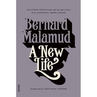 A New Life - Paperback