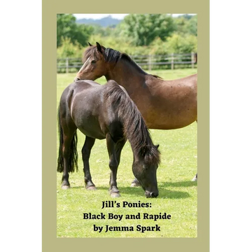 Jill's Ponies: Black Boy and Rapide - Paperback