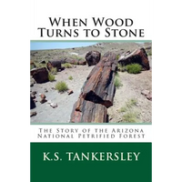 When Wood Turns to Stone: The Story of the Arizona National Petrified Forest - Paperback