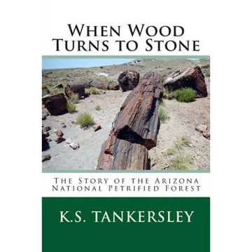 When Wood Turns to Stone: The Story of the Arizona National Petrified Forest - Paperback