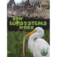 How Ecosystems Work - Paperback
