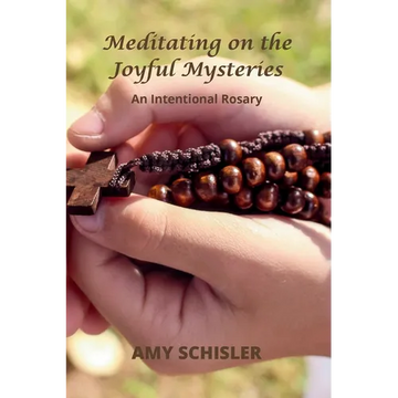 Meditating on the Joyful Mysteries - Paperback