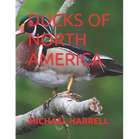 Ducks of North America - Paperback