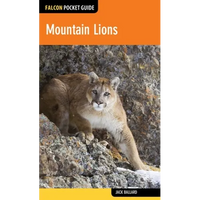 Mountain Lions - Paperback