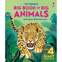 Big Book of Big Animals - Hardcover