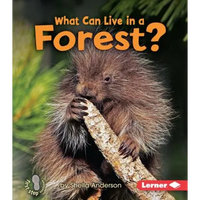 What Can Live in a Forest? - Paperback