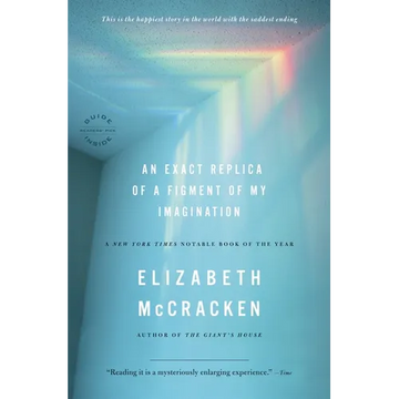 An Exact Replica of a Figment of My Imagination - Paperback