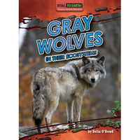 Gray Wolves in Their Ecosystems - Library Binding