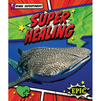 Super Healing - Paperback