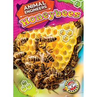 Honeybees - Library Binding