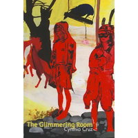 The Glimmering Room - Paperback