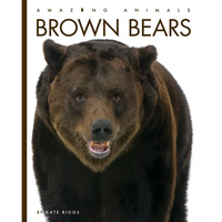 Brown Bears - Paperback