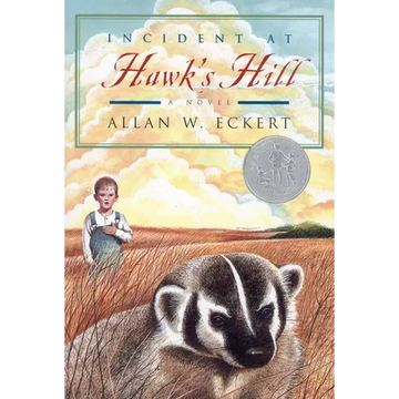 Incident at Hawk's Hill - Paperback