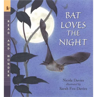 Bat Loves the Night - Paperback