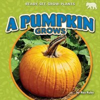 A Pumpkin Grows - Library Binding