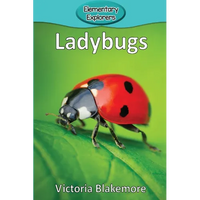 Ladybugs - Paperback