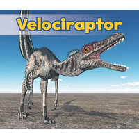 Velociraptor - Paperback