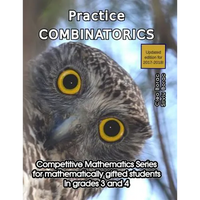 Practice Combinatorics: Level 2 (ages 9 to 11) - Paperback
