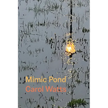 Mimic Pond - Paperback