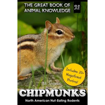 Chipmunks: North American Nut-Eating Rodents - Paperback