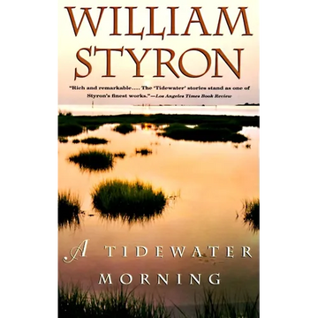A Tidewater Morning - Paperback