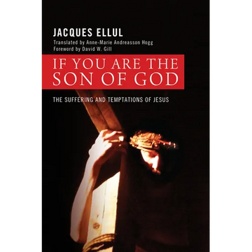 If You Are the Son of God - Paperback