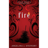 Fire - Paperback