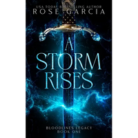 A Storm Rises - Paperback