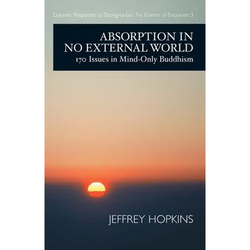 Absorption in No External World: 170 Issues in Mind-Only Buddhism - Paperback