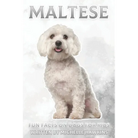 Maltese: Fun Facts on Dogs for Kids #31 - Paperback
