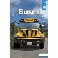 Buses - Paperback