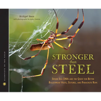 Stronger Than Steel: Spider Silk DNA and the Quest for Better Bulletproof Vests, Sutures, and Parachute Rope - Hardcover