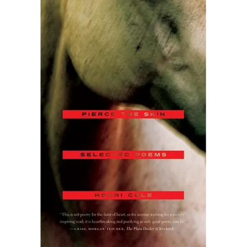 Pierce the Skin: Selected Poems, 1982-2007 - Paperback
