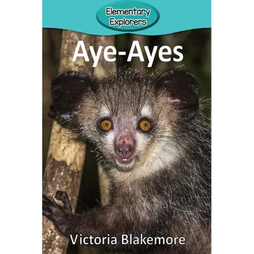 Aye-Ayes - Paperback