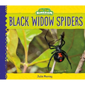 Black Widow Spiders